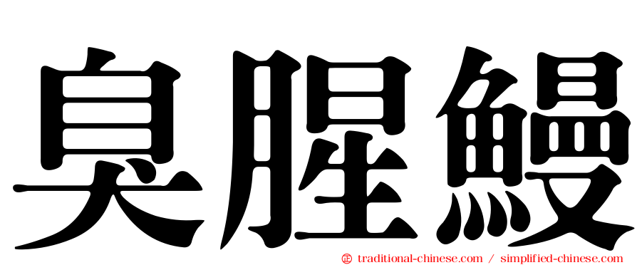臭腥鰻