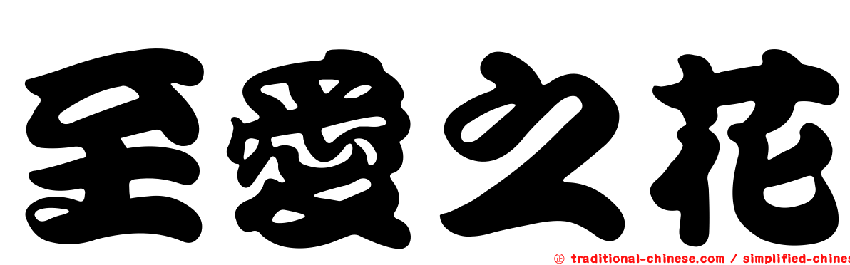至愛之花