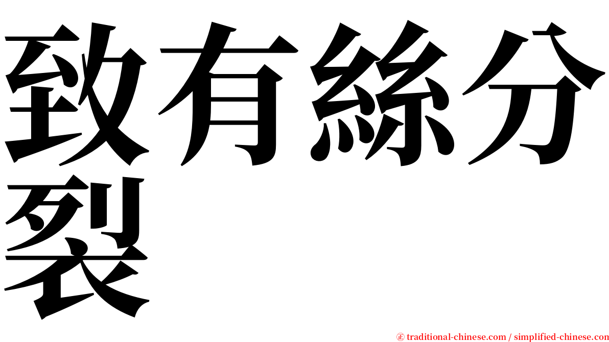 致有絲分裂 serif font