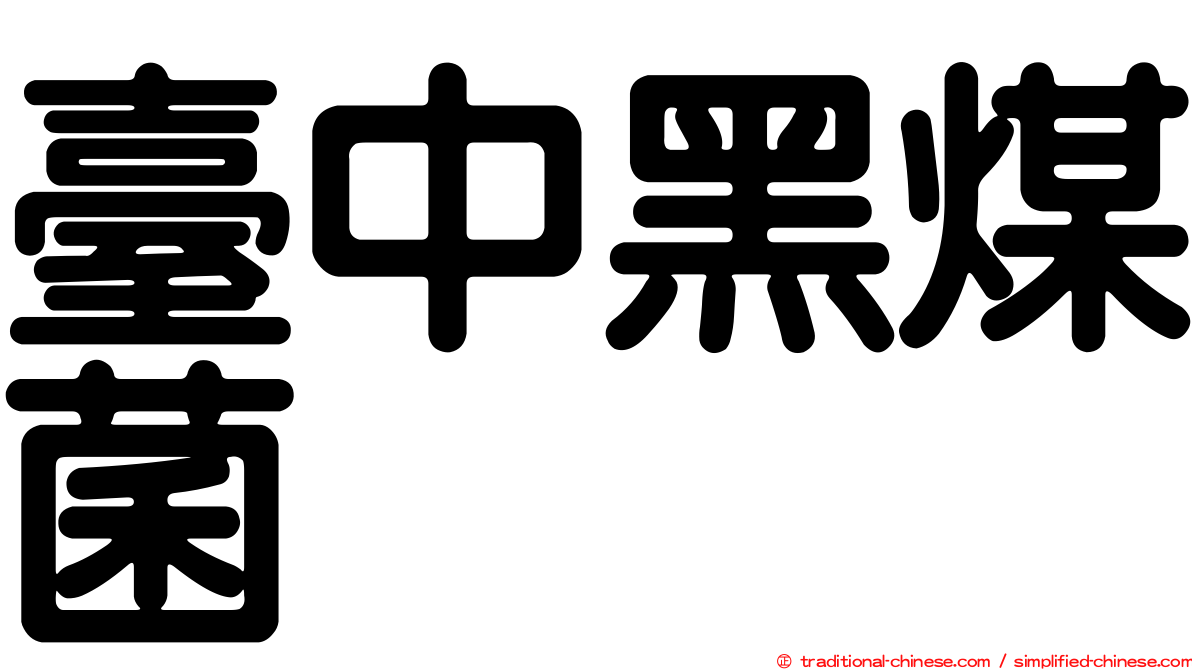 臺中黑煤菌