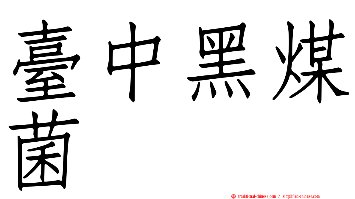 臺中黑煤菌