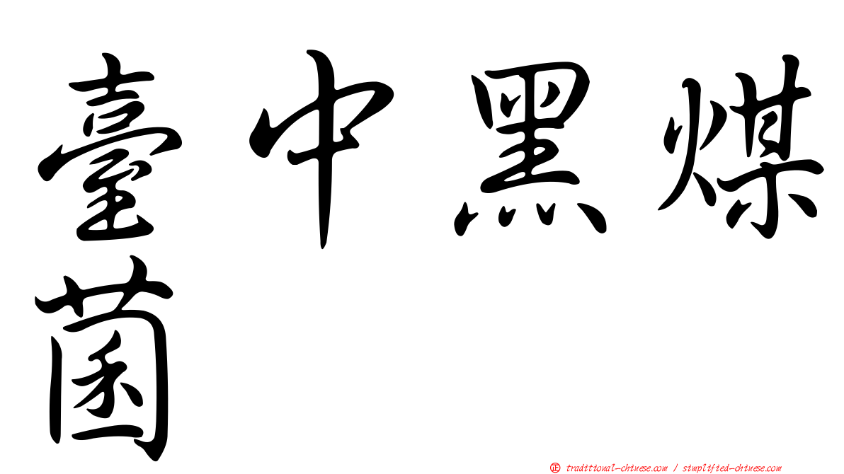 臺中黑煤菌