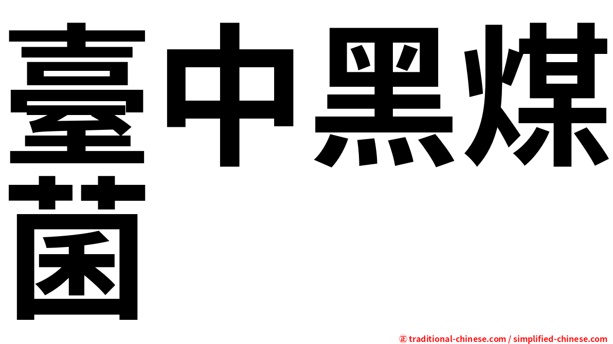 臺中黑煤菌