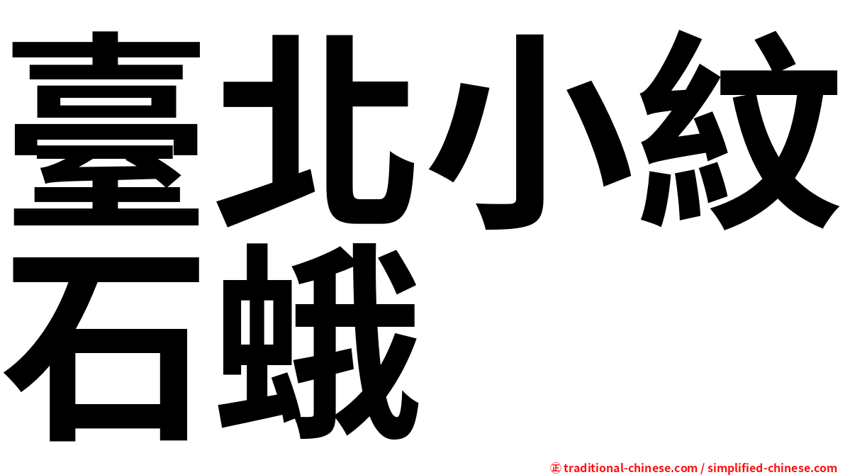臺北小紋石蛾