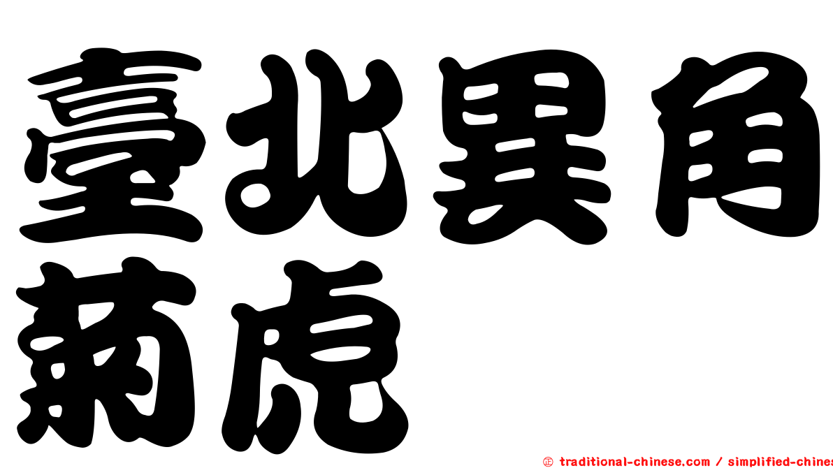 臺北異角菊虎
