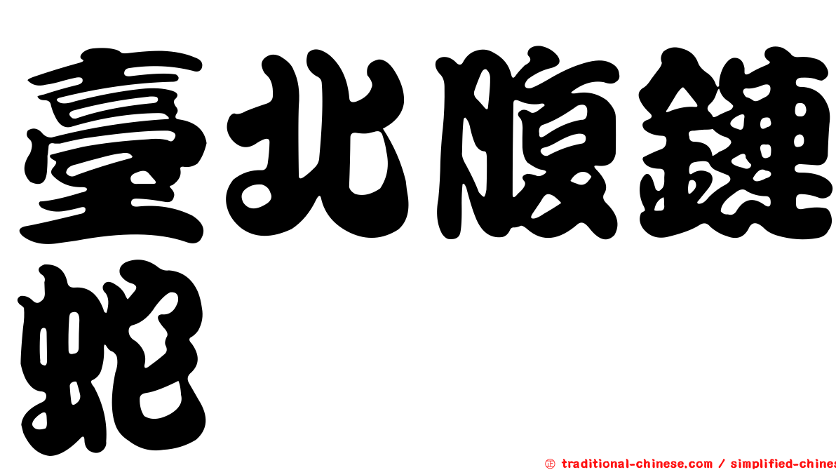 臺北腹鏈蛇