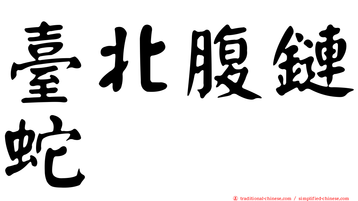 臺北腹鏈蛇