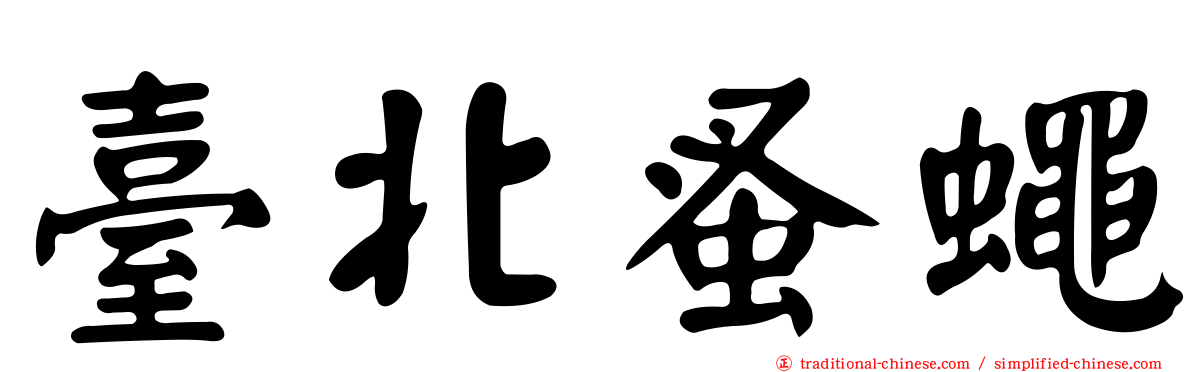 臺北蚤蠅