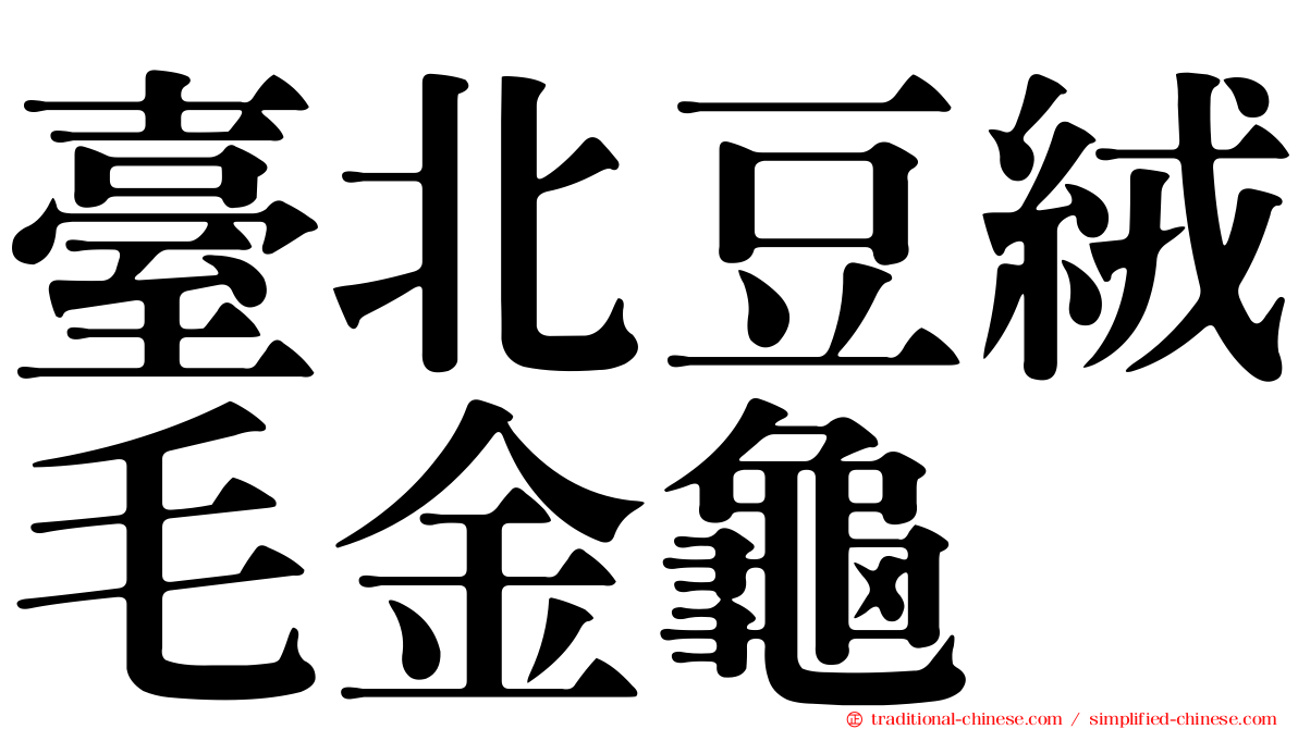 臺北豆絨毛金龜