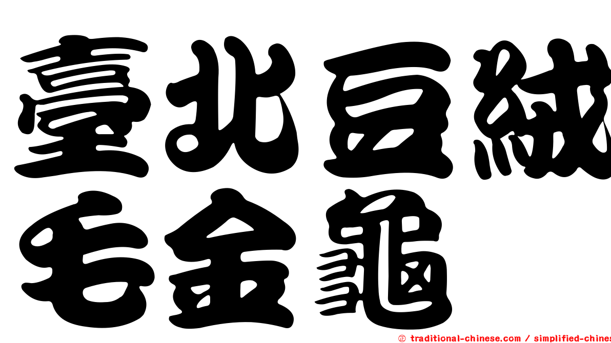 臺北豆絨毛金龜