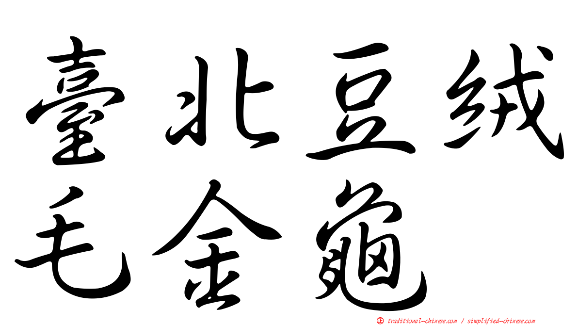 臺北豆絨毛金龜
