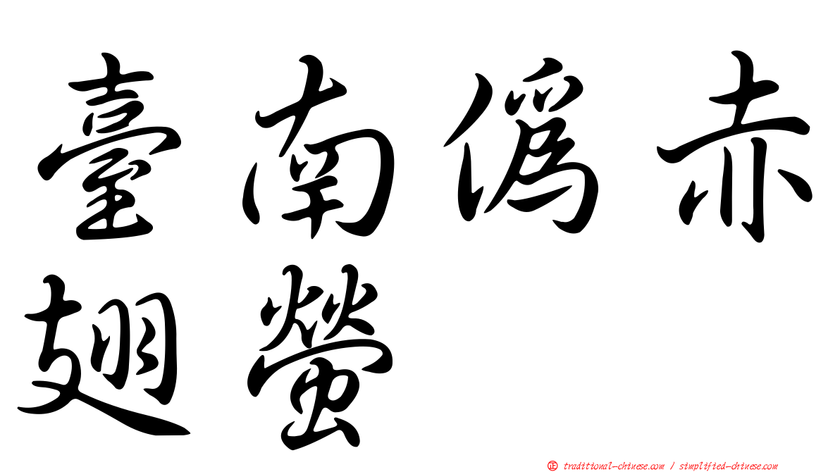 臺南偽赤翅螢