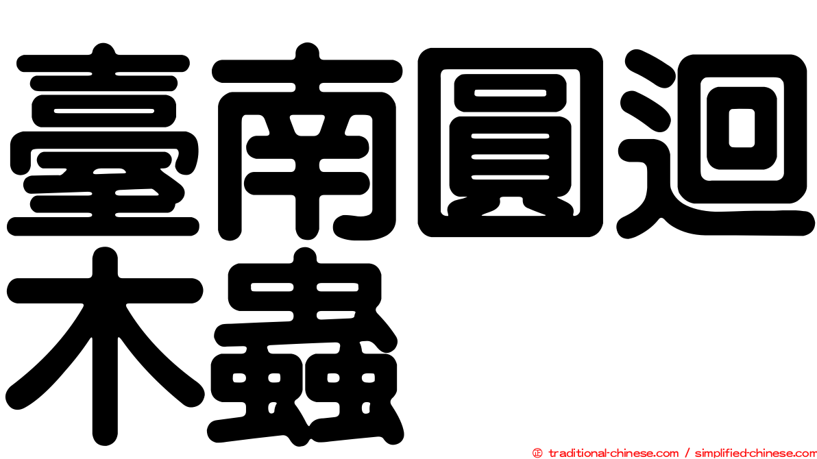 臺南圓迴木蟲