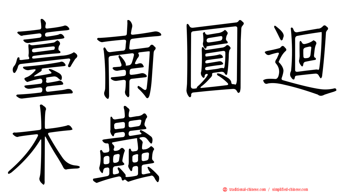 臺南圓迴木蟲