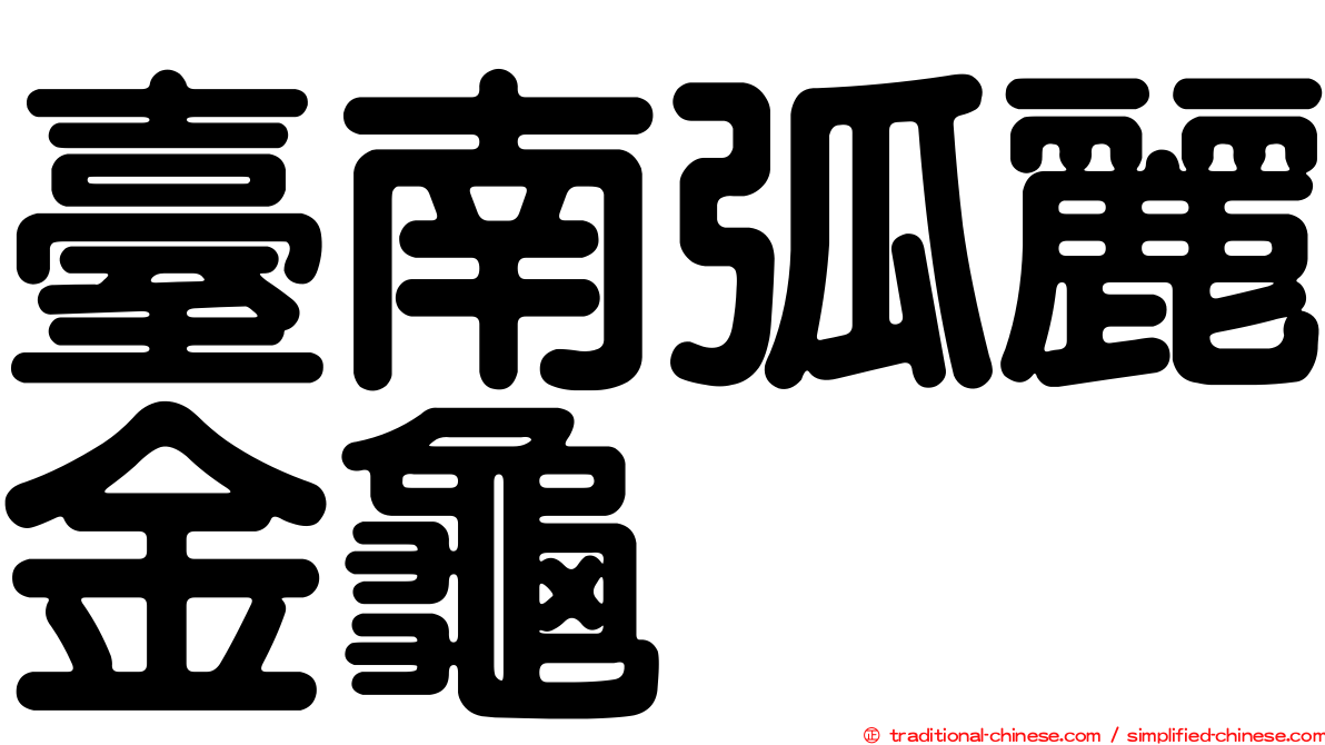 臺南弧麗金龜