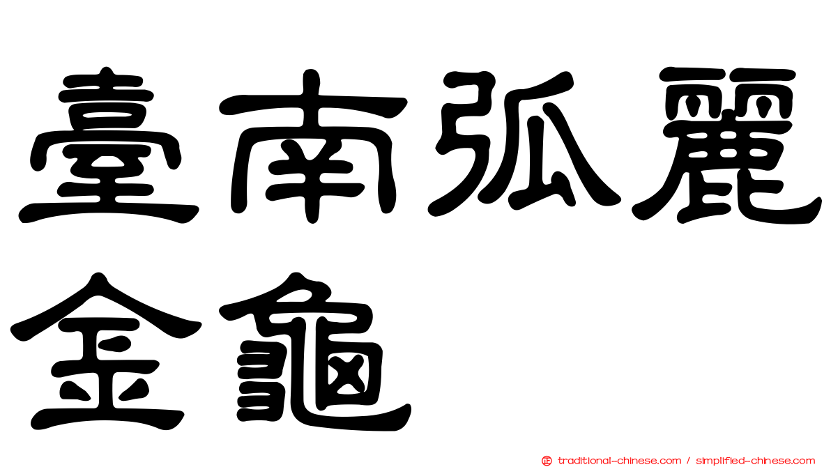 臺南弧麗金龜