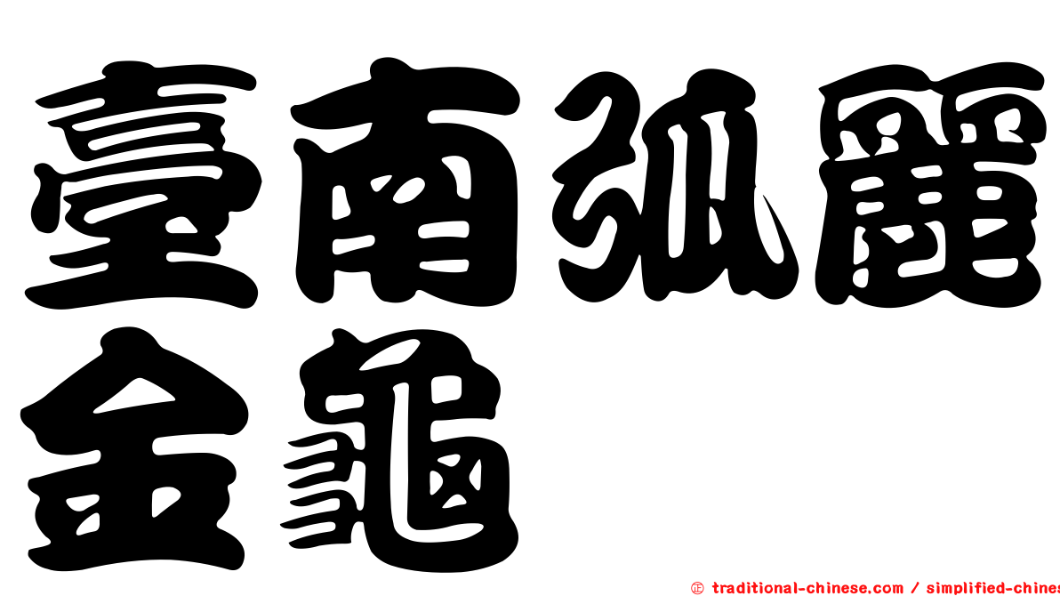 臺南弧麗金龜