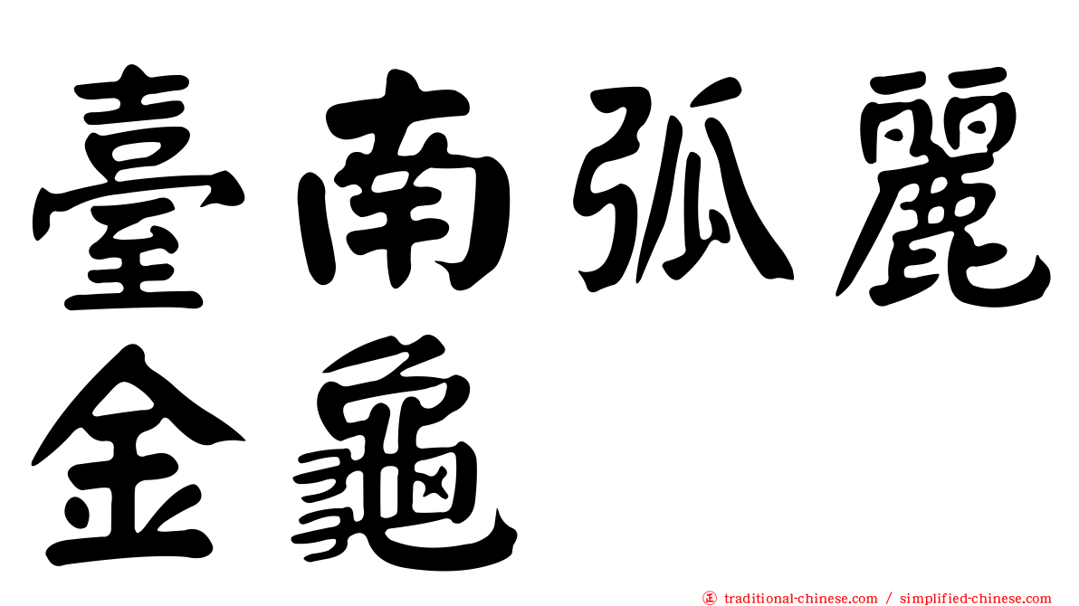 臺南弧麗金龜