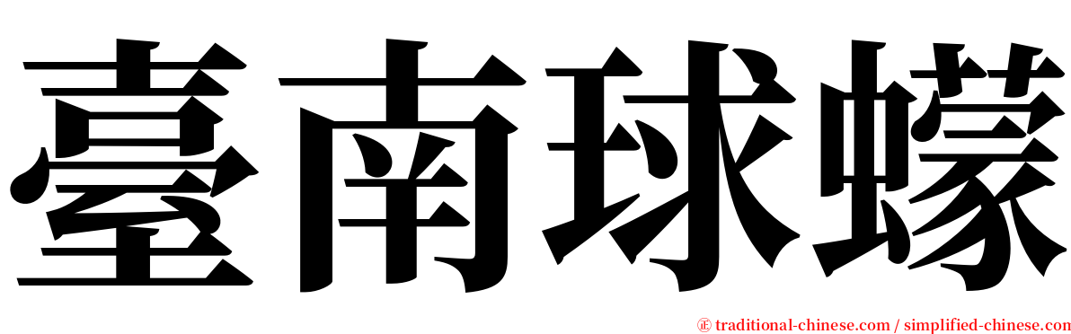 臺南球蠓 serif font