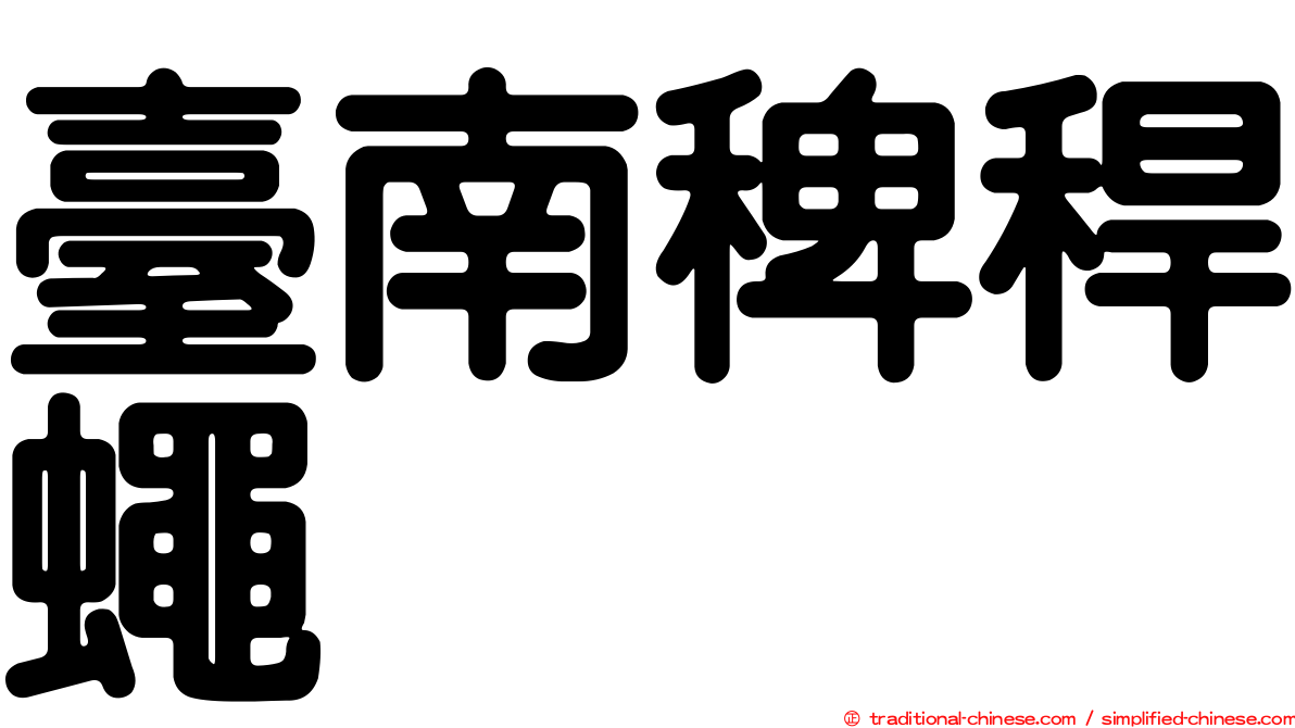 臺南稗稈蠅
