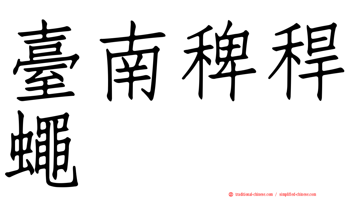 臺南稗稈蠅
