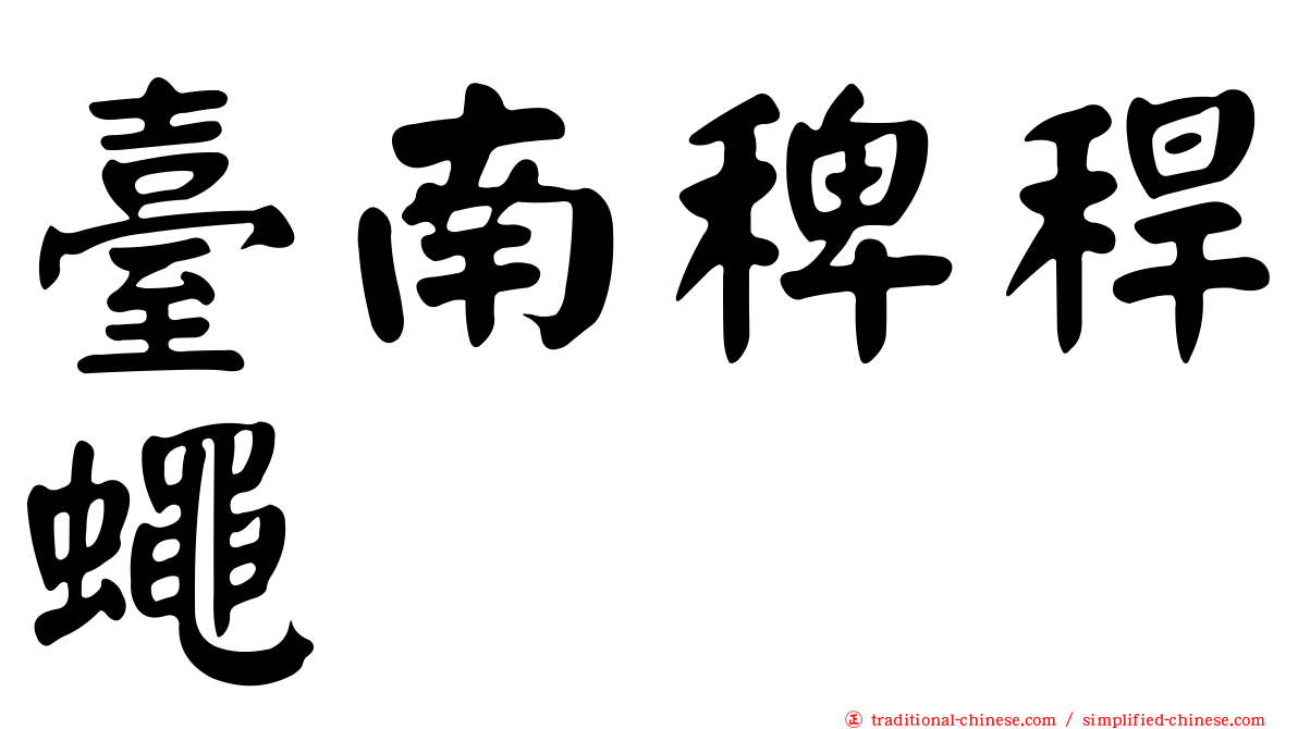 臺南稗稈蠅