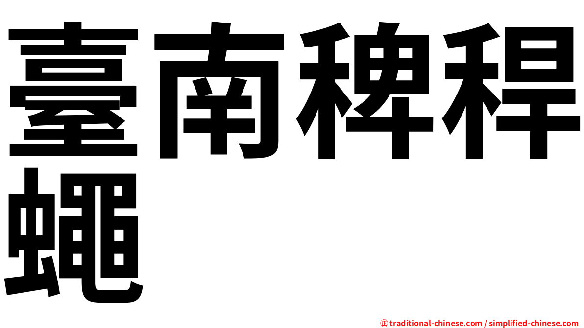 臺南稗稈蠅