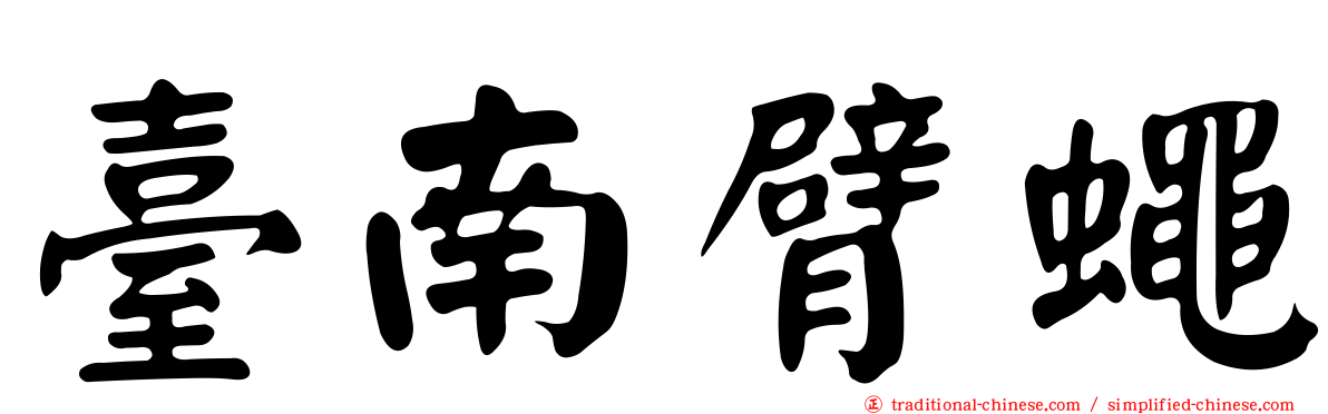 臺南臂蠅