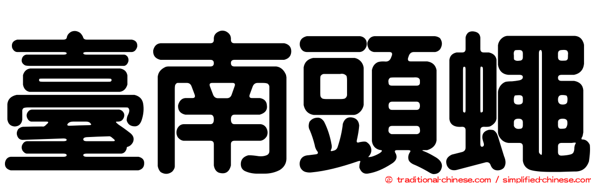 臺南頭蠅
