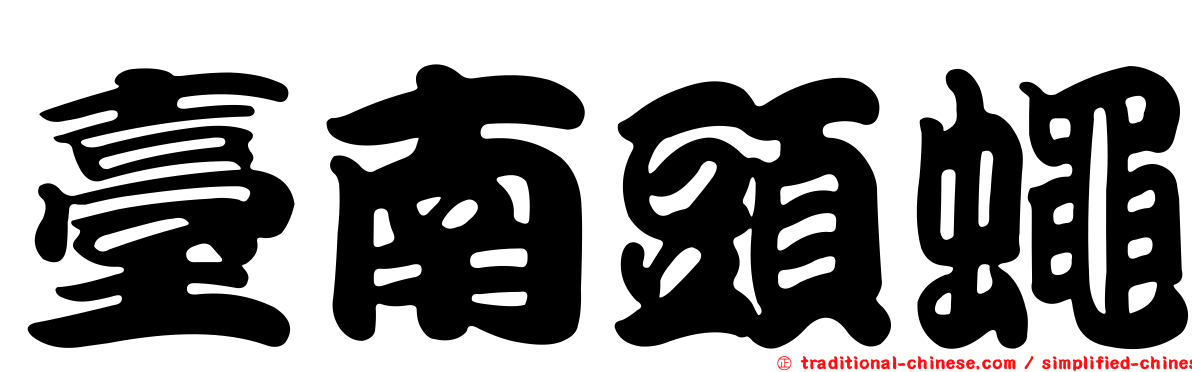 臺南頭蠅