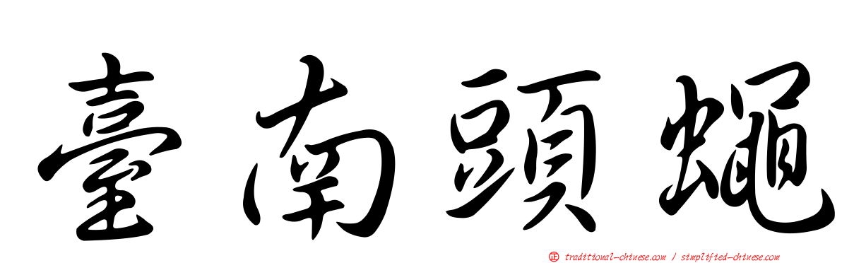 臺南頭蠅