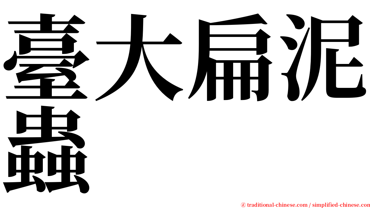 臺大扁泥蟲 serif font
