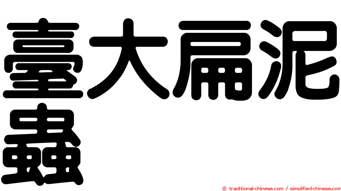臺大扁泥蟲