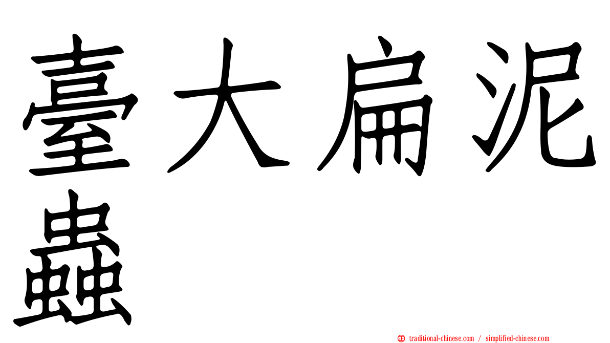 臺大扁泥蟲