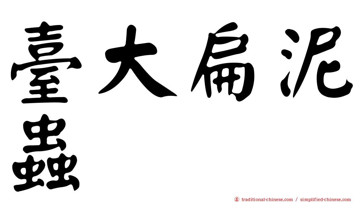 臺大扁泥蟲