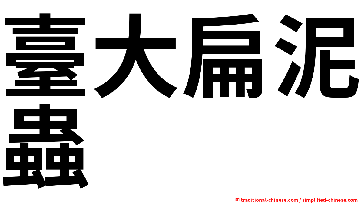 臺大扁泥蟲