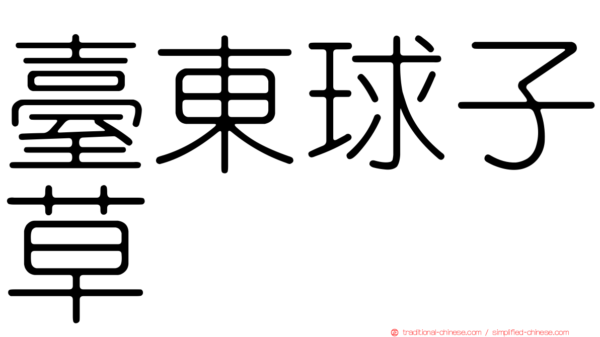 臺東球子草