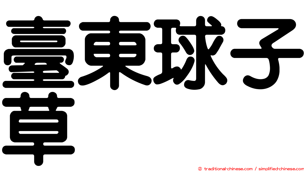 臺東球子草