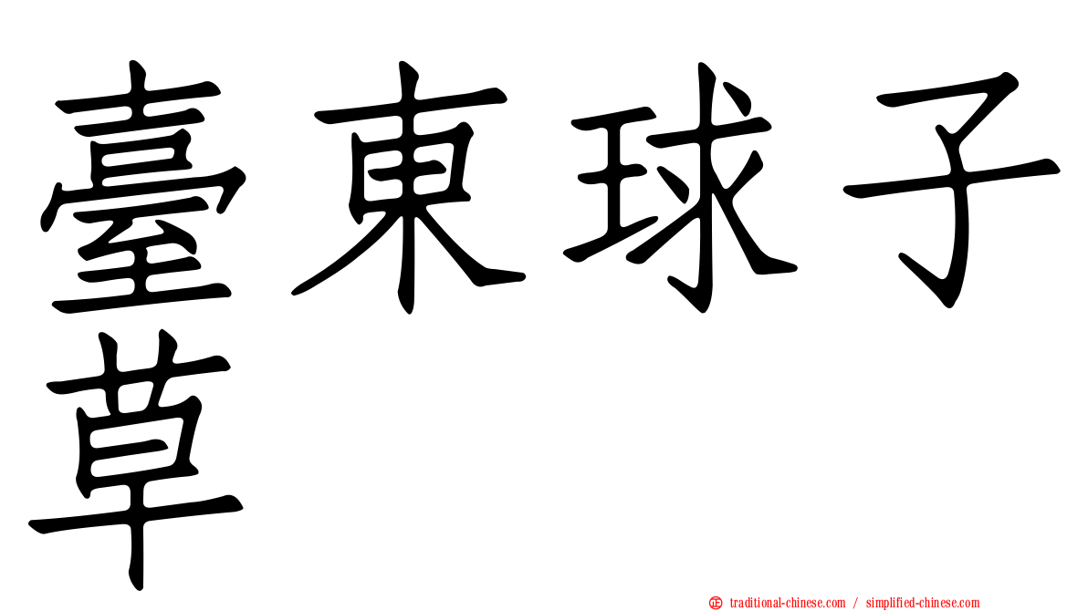 臺東球子草