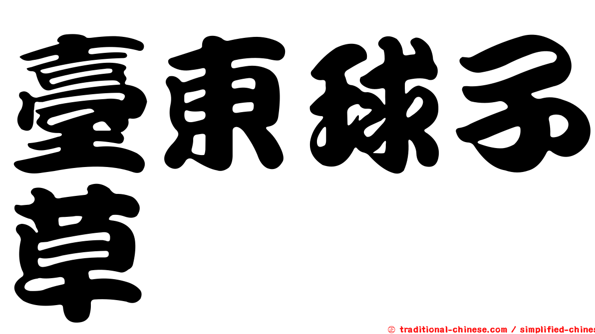 臺東球子草