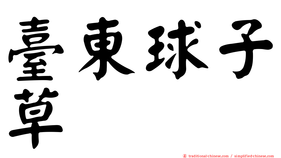 臺東球子草