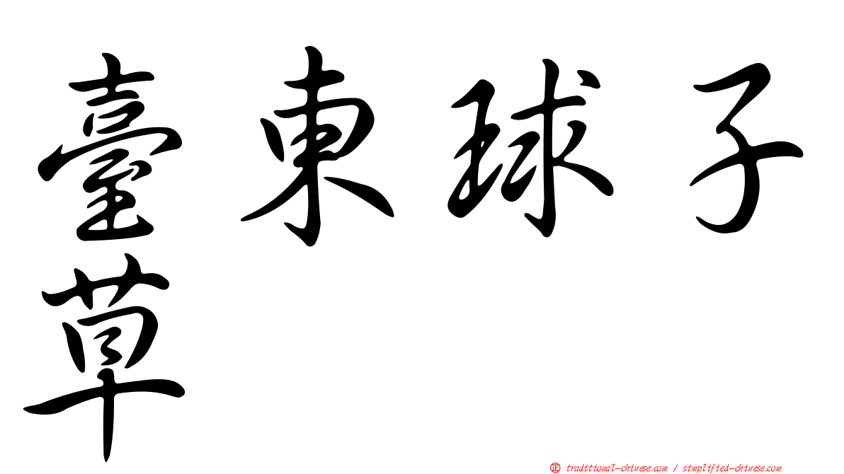 臺東球子草