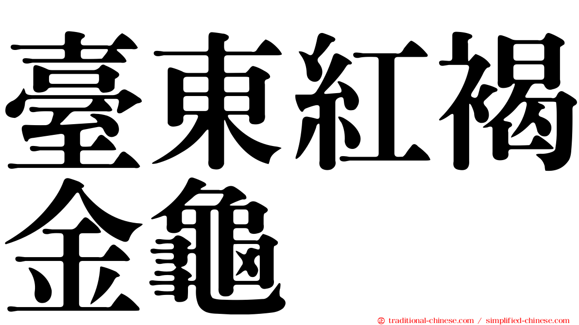 臺東紅褐金龜