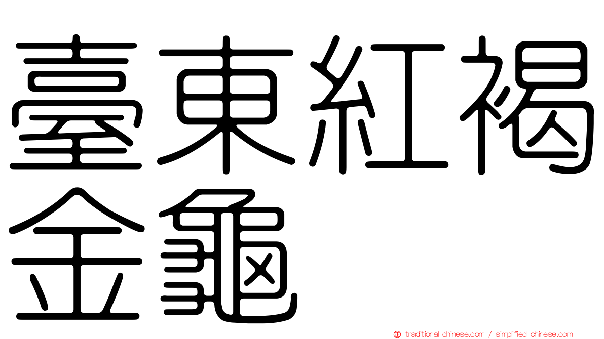 臺東紅褐金龜