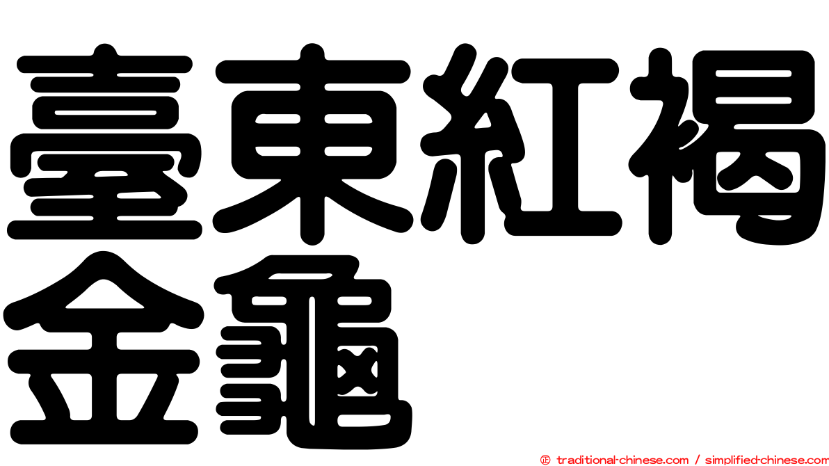 臺東紅褐金龜