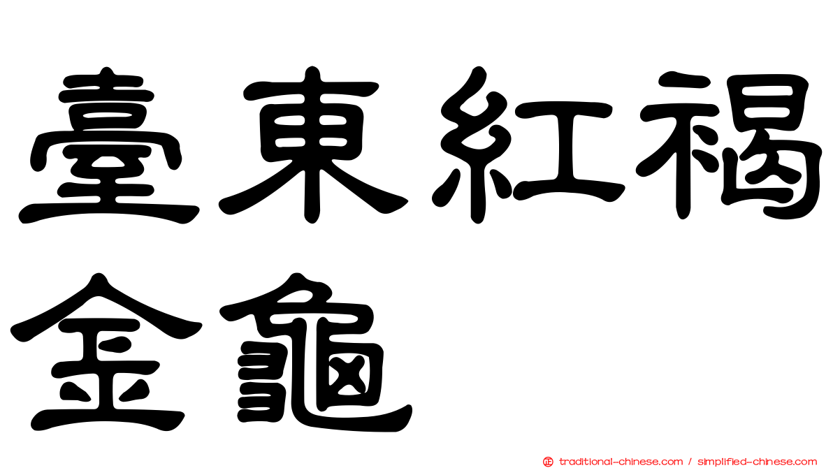 臺東紅褐金龜