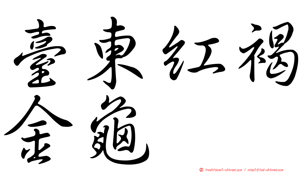 臺東紅褐金龜