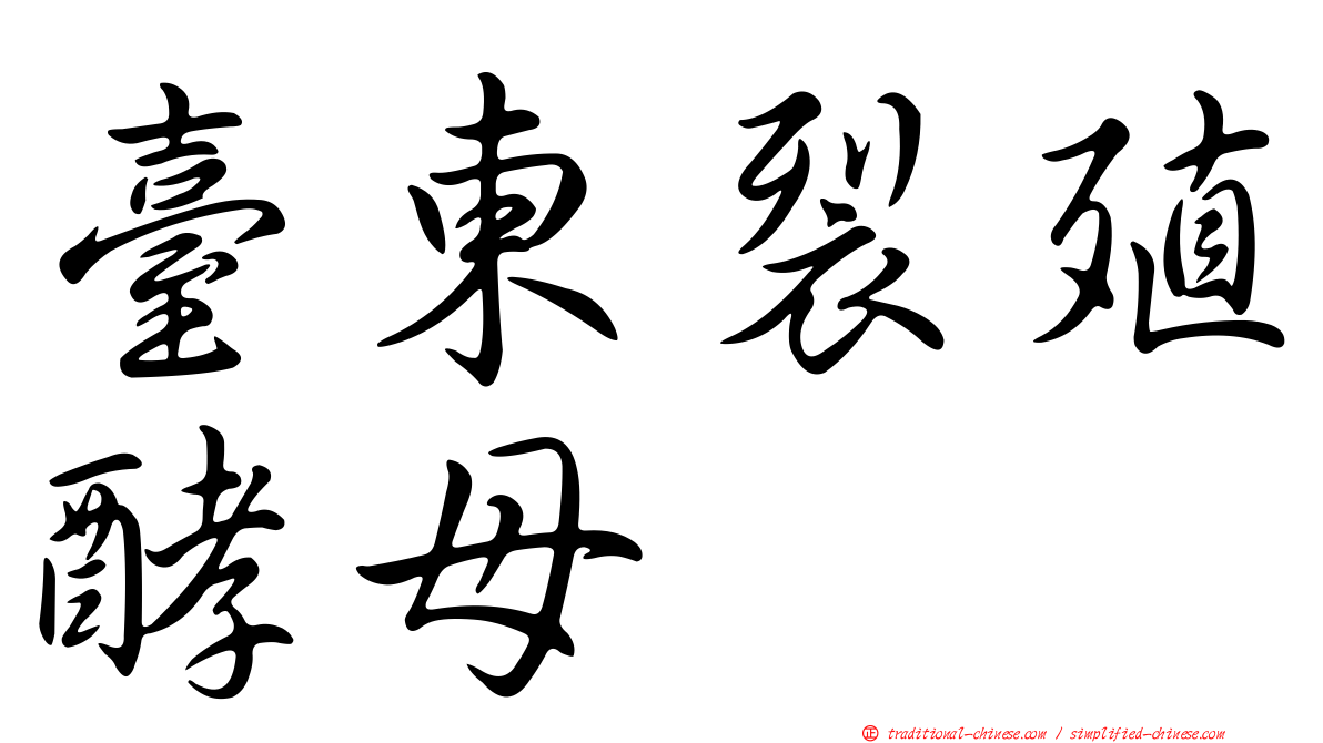 臺東裂殖酵母