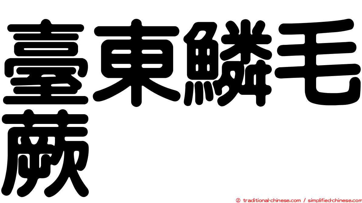 臺東鱗毛蕨