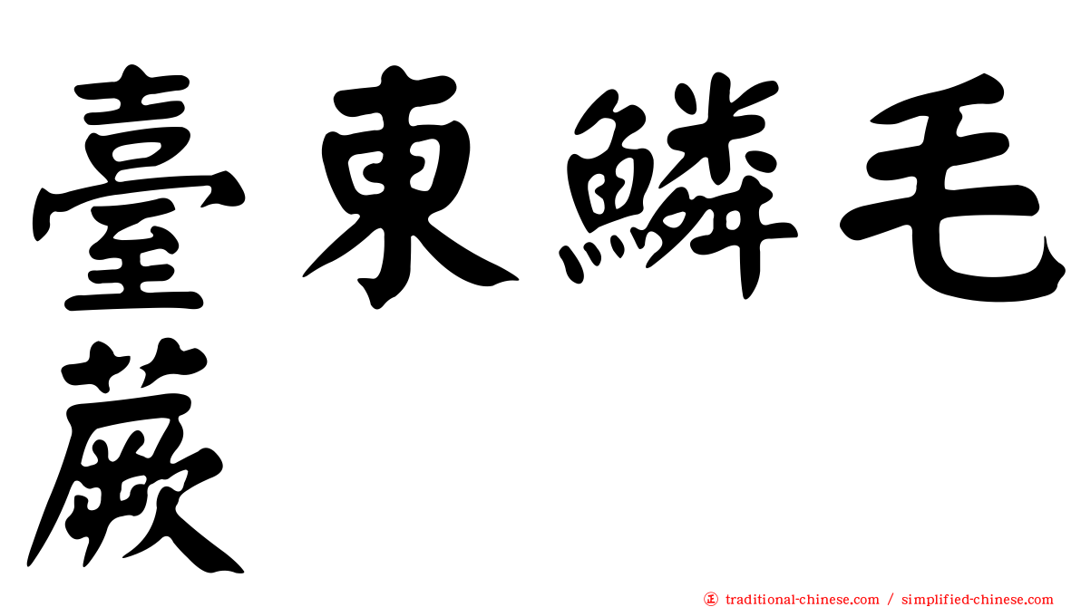 臺東鱗毛蕨